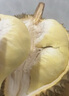 京鮮生 進(jìn)口金枕頭榴蓮 凈重6-7斤 1個(gè)裝  鮮果 生鮮 新鮮水果 曬單實(shí)拍圖