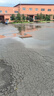 天瑋傘業(yè)雨傘 全自動(dòng)折疊傘 免疊易收速干傘一秒平整【黑科技-真免折傘】 曬單實(shí)拍圖