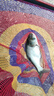 武漢天元鄧剛金版浮釣鰱鳙顆粒野釣手竿花白鰱鳙大胖頭草莓味餌料 天元鄧剛【浮釣鰱鳙】 3包 曬單實(shí)拍圖