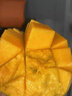 攀枝花凱特芒果10斤生鮮水果當季現摘熱帶新鮮水仙大芒果甜心芒果 精選4.5斤裝(爆甜多汁) 精選大果【紙箱包裝】 曬單實(shí)拍圖