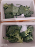 新鮮西蘭花花椰菜青花菜西藍花菜花當季時(shí)令新鮮蔬菜 新鮮青花帶箱4斤【西蘭花】 曬單實(shí)拍圖