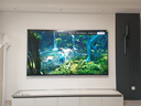 海信電視100E5Q 100英寸 超畫質(zhì)U+MiniLED 柔光防眩屏 高刷 U+超畫質(zhì)引擎Pro AI智能會(huì)議電視 國家補(bǔ)貼 曬單實(shí)拍圖