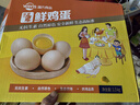 溫氏供港鮮雞蛋30枚/3斤 谷物喂養 無(wú)抗生素 健身食材 優(yōu)質(zhì)蛋白 曬單實(shí)拍圖