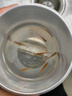 紅綠燈魚(yú)小型熱帶燈科魚(yú)活體草缸群游魚(yú)觀(guān)賞魚(yú)寶蓮燈斑馬魚(yú)孔雀魚(yú) 1.5cm長(cháng)尾櫻桃燈5條送1條備損 曬單實(shí)拍圖