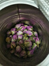 藝福堂花草茶 法蘭西胎玫瑰花茶進(jìn)口80g 不熏硫養生大朵搭菊花 母親禮物 曬單實(shí)拍圖