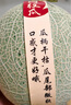京鮮生 玫瓏網(wǎng)紋甜瓜 2粒裝 凈重6-7斤起 中秋禮品源頭直發(fā)包郵 曬單實(shí)拍圖