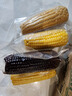 佟創(chuàng  )東北黃糯玉米棒 新鮮甜糯玉米棒 代餐輕食真空包裝黏粘玉米 3黃3黑4白共160g*10棒 曬單實(shí)拍圖