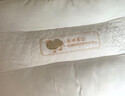 潔麗雅（Grace）駝絨蛋白中枕枕頭枕芯900g 45*70cm一對裝 曬單實(shí)拍圖