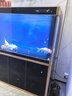閩江大型家用客廳落地魚(yú)缸水族箱免換水超白玻璃底過(guò)濾辦公室龍魚(yú)缸 黑色 【大師款】180長(cháng)60寬160高+豪華大禮包 曬單實(shí)拍圖