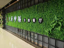 綠植墻仿真植物墻客廳室內陽(yáng)臺裝飾背景花墻面綠色壁掛塑料假草坪 特密尤加利 曬單實(shí)拍圖