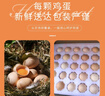 魯園牧歌【熱賣(mài)】農家散養烏雞蛋 寶寶喜蛋 高硒營(yíng)養 京東極速達30枚 30枚/箱 曬單實(shí)拍圖