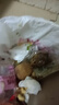 牛愛(ài)鮮 黃心土豆新鮮洋芋馬鈴薯黃皮應季蔬菜整箱優(yōu)質(zhì)土豆現摘美味蔬菜 5斤【現挖現發(fā)】品質(zhì)裝凈重4.5斤 農家現挖蔬菜 曬單實(shí)拍圖