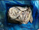 鮮京采 厄瓜多爾白蝦 凈重3斤/盒 特大號20-30規格   30-45只/盒 曬單實(shí)拍圖
