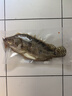 仙泉湖黃山大臭鱖魚(yú)600g/條凈膛腌制冷凍正宗臭桂魚(yú)特產(chǎn)生鮮食材 曬單實(shí)拍圖