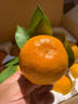 南步湖南洞口縣雪峰蜜桔 無(wú)核薄皮邵陽(yáng)特產(chǎn)雪峰山宮川蜜橘子新鮮水果 5斤 精選小果 曬單實(shí)拍圖
