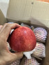 洛川蘋(píng)果陜西延安紅富士時(shí)令蘋(píng)果水果禮盒禮品蘋(píng)果生鮮新鮮脆甜整箱好吃 凈重4.5斤80-85mm鉑金果 彩箱裝 曬單實(shí)拍圖