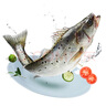 鴻順?三去海鱸魚(yú)3斤3條 去鱗去腮去內臟 國產(chǎn) 生鮮魚(yú)類(lèi) 源頭直發(fā) 曬單實(shí)拍圖