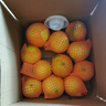 【彩箱禮盒】福建平和黃金葡萄柚子新鮮水果應季黃肉蜜柚甜西柚 【稀有品種】8.5斤【9-15個(gè)】家庭分享裝 曬單實(shí)拍圖