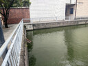 金灶（KAMJOVE）底部全自動(dòng)上水電熱水壺 茶臺(tái)燒水壺?zé)匾惑w機(jī)全自動(dòng)恒溫 H9 香檳金【20x37cm】 1個(gè) 曬單實(shí)拍圖
