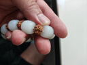 曼麗翠【新年禮物】和田玉白玉手串男款路路通8粒送老公附羊脂白附證書(shū) 曬單實(shí)拍圖