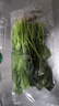 【產(chǎn)地直采】大菠菜300g 曬單實(shí)拍圖