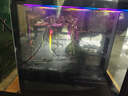 華碩（ASUS）ROG全家桶AMD銳龍R7 9800X3D主機7800X3D華碩RTX5080 5070TI 5070整機千幀電競游戲臺式電腦組裝機 配三丨R7 7800X3D+華碩RTX5060Ti 曬單實(shí)拍圖