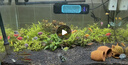 森森魚(yú)缸變頻加熱棒適用200-300L水族箱加熱器離水斷電ARK-500J款500W 曬單實(shí)拍圖
