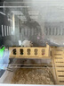 金絲熊籠子倉鼠籠超大亞克力透明別墅防啃咬飼養箱豪華大號專(zhuān)用屋 【透明籠】木屋套裝 曬單實(shí)拍圖