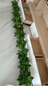 綠有意綠蘿盆栽室內植物花卉綠植水培長(cháng)藤垂吊大葉綠籮新房家用吸除甲醛 120#原盆盆吸水盆10盆裝+4肥 帶盆帶土發(fā)貨 曬單實(shí)拍圖