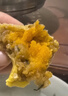 一旬一味生鮮面點(diǎn) 咸蛋黃燒麥420g6只 兒童燒賣(mài) 包子早餐半成品速食手抓餅 曬單實(shí)拍圖