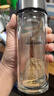 希諾雙層玻璃杯男家用商務(wù)辦公泡茶杯子過(guò)濾車載水杯XN-9301 265mL 曬單實(shí)拍圖