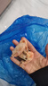 海皇灣格陵蘭頭籽北極甜蝦北極熊腹籽刺身特大號(hào)冰蝦元寶蝦籽蝦 金標(biāo)黃腹籽90/120規(guī)格 3斤(凈重) 曬單實(shí)拍圖