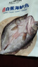 仙泉湖三去白蕉海鱸魚(yú)1斤/條凈膛冷凍刺少肉厚珠海特產(chǎn)500g生鮮食材 曬單實(shí)拍圖