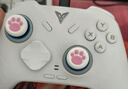 飛智冰原狼3/冰原狼4多模版無(wú)線(xiàn)手柄DW12C類(lèi)xbox手柄Switch/Steam黑神話(huà)悟空游戲手柄明末淵虛之羽手柄 【爆款新品】冰原狼4多模板 曬單實(shí)拍圖