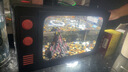 IXJSN電視機造型魚(yú)缸新款高清家用過(guò)濾制氧一體機桌面免換水塑料水族箱 高透白40款 全家桶套餐-帶燈過(guò)濾帶加熱棒生態(tài)造景 曬單實(shí)拍圖