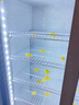 白雪雅竹大容量飲料柜商用冰柜直冷藏展示柜酒水柜純風(fēng)冷無霜保鮮柜超市玻璃門冰箱立式啤酒柜 雙門下機(jī)【直冷】1000*550*2000mm 曬單實(shí)拍圖