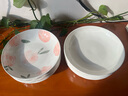 順祥萬(wàn)祥菜盤(pán)子菜碟套裝6個(gè)裝釉下彩家用陶瓷盤(pán)子圓盤(pán)裝菜盤(pán)子高顏值 曬單實(shí)拍圖