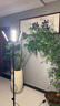 三思植物補光燈仿太陽(yáng)室內落地全光譜展翅植物生長(cháng)燈LED補光燈-60W 曬單實(shí)拍圖