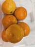 金秋砂糖橘500g 曬單實(shí)拍圖