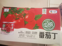 屯河 25年新貨新疆內蒙番茄丁210g*12禮盒 0添加劑西紅柿塊番茄醬罐頭 曬單實(shí)拍圖