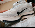耐克 （NIKE）2025年男子NIKE PEGASUS PREMIUM RUN跑步鞋 IH2288-001 44 曬單實(shí)拍圖