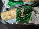 京鮮生 西雙版納香糯小玉米 凈重4斤 禮盒裝 低脂粗糧 多種包裝隨機發(fā)貨 曬單實(shí)拍圖