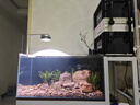 品牌同廠(chǎng)晶普達原生溪流缸魚(yú)缸筒燈led全光譜水草爆藻金魚(yú)出苔燈 全光譜混白光-50W銀色+支架 曬單實(shí)拍圖