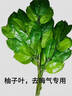 維他奶巧克力味植物蛋白飲料250ml*24盒 早餐豆奶飲料 家庭分享裝 曬單實(shí)拍圖