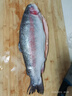 新疆國產(chǎn)三文魚(yú)整條冰鮮三文魚(yú)刺身免費開(kāi)片去刺新鮮中段虹鱒魚(yú) 整條去內臟4.5-5斤左右(開(kāi)片備注 曬單實(shí)拍圖