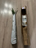 劉閣蘭花建蘭四季素心蘭花苗 大鳳素 現帶花苞出售辦公室內綠植花卉盆栽 4苗連體裸根帶2花苞 曬單實(shí)拍圖