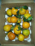 春公子正宗四川愛(ài)媛38號果凍橙 時(shí)令水果橘子 當季桔子應季柑橘禮盒 整箱9-10斤裝一級果70-80mm凈重8.5斤+ 曬單實(shí)拍圖