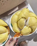 泰國金枕榴蓮新鮮水果10斤一整個(gè)整箱順豐包郵應季進(jìn)口巴掌榴蓮肉 AAA級精選|共4-5斤【單顆】 曬單實(shí)拍圖