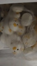 巴比 小豬椰汁奶黃包300g*2包共12只兒童卡通包生鮮速食速凍兒童早餐 曬單實(shí)拍圖