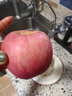 大口七八正宗新疆阿克蘇冰糖心蘋(píng)果新鮮水果整箱包郵應10斤季丑蘋(píng)果紅富士 5斤裝凈重4.5斤 大果丨80-85mm 曬單實(shí)拍圖